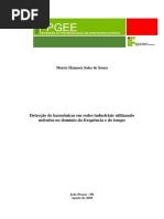 Dissertacao_Final_Moises Hamsses sales Sousa