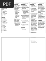 GRP 3 2 Renal Nephrectomy NCP