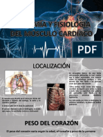 Anatomía y Fisiología Del Musculo Cardiaco