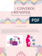 Control Prenatal