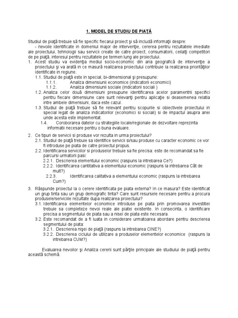 Model Studiu de Piata | PDF
