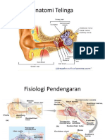 Anatomi Telinga