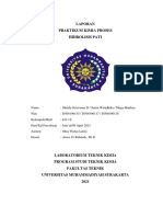 4B-C-6-E-HIDROLISIS-PATI--dikompresi (1)