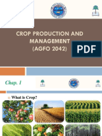 Crop Production