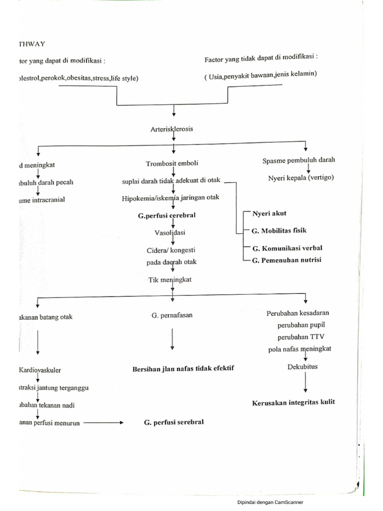 Pathway Stroke Non Hemoragik | PDF