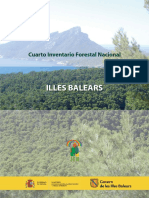 Pinares y acebuchales de Illes Balears