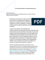 Cinco Ecosistemas Donde Las Soluciones Basadas en La Naturaleza Pueden Ofrecer Enormes Beneficios