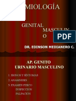 Semiologia - Aparato Genito Urinario Masculino