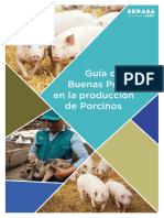 Guía-BPP Porcinos PDF