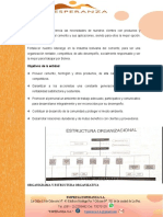 Cementera Esperanza S.A.: Misión, visión y estructura organizacional