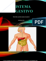 Sistema Digestivo 14