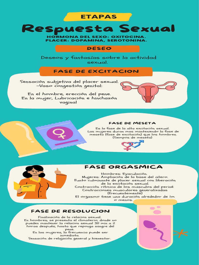 Fases de la Respuesta Sexual Humana | PDF