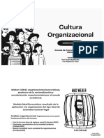 Clase Cultura Organizacional UNSAM - ADM VI 2022