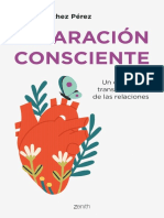 Separacion Consciente - Alicia Sanchez Perez