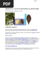 Download Almond Wonders by Joshua Idodo SN57103729 doc pdf