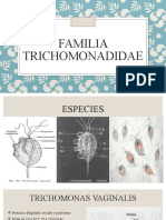 Familia Trichomonadida