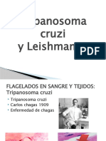 Leishmania y Tripanosoma