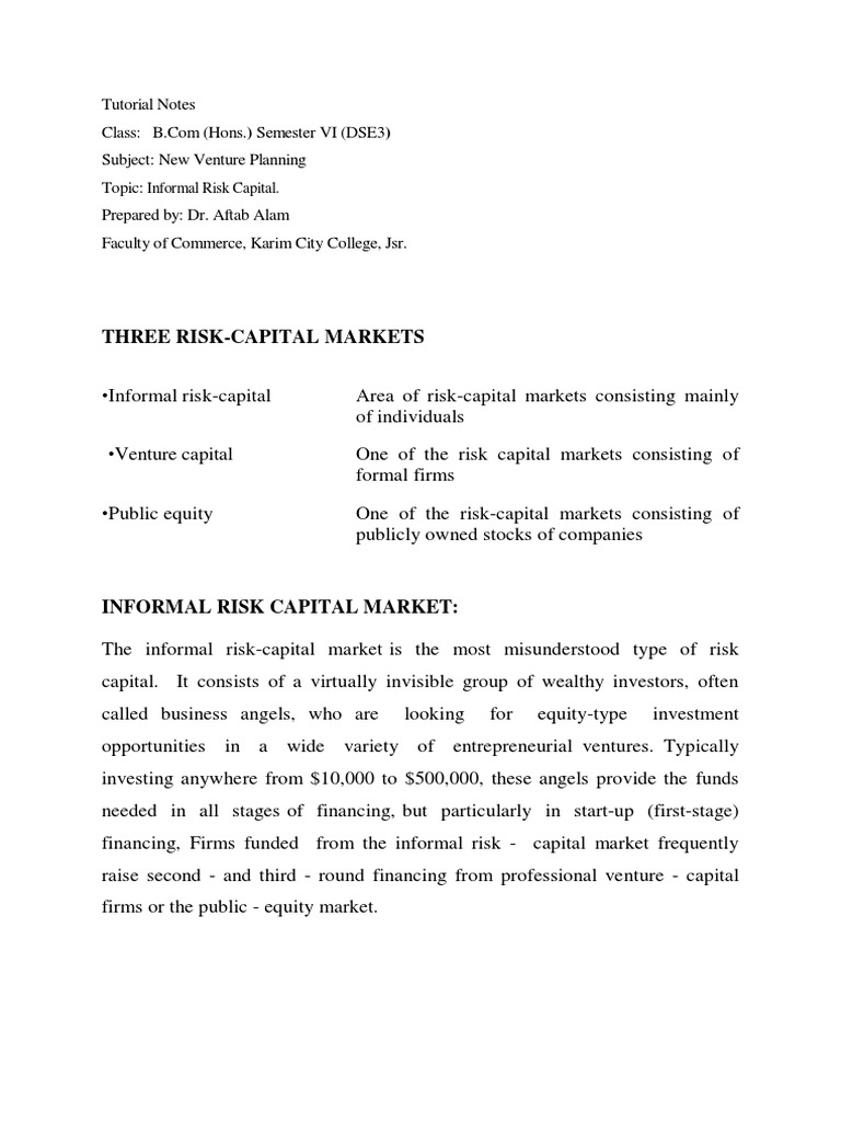 Informal Risk Capital | PDF