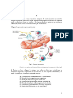 Teste Intermedio Imunidade