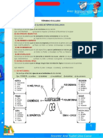 Ficha Informativa Sobre El Término Excluido