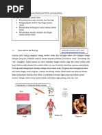 Pengenalan anatomi dan fisiologi