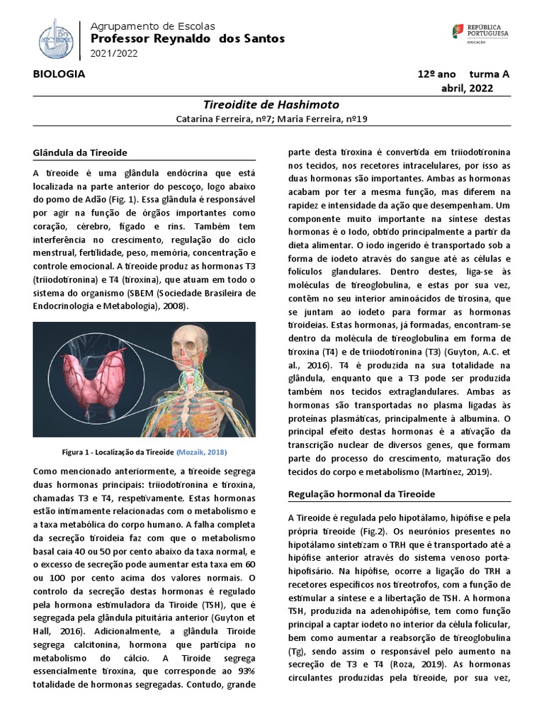 Sistema endócrino do ser humano Vetor de ©marina_ua 89535708, image size:768x1024