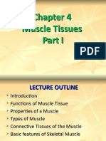 CH 4 Muscle Tissue Part I