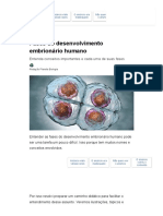 Fases Do Desenvolvimento Embrionário Humano - Planeta Biologia