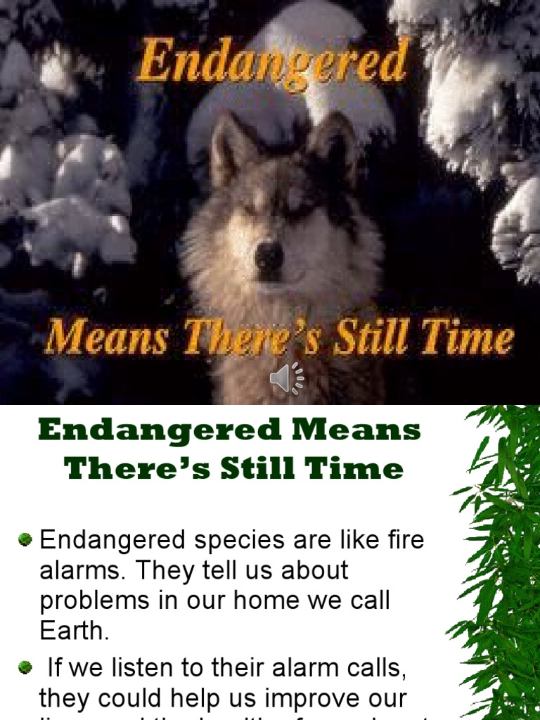 Understanding Endangered Species | PDF | Endangered Species | Extinction