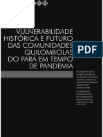 Vulnerabilidade histórica e futura das comunidades quilombolas do Pará