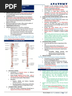 6.05 Leg - Neurovascular Structures