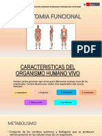 Caracteristicas Del Organismo Humano Vivo