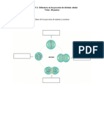 M5 Procesos Division Celular Tarea 5.1