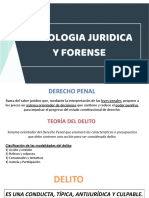 Psico Juridica y Forense - UNIDAD IV - Penal