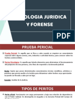 Psico Juridica y Forense - UNIDAD V - Pericia - Powerpoint
