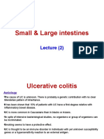 Small & Large Intestines - Lecture