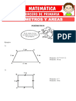 Perimetros y Areas para Tercero de Primaria