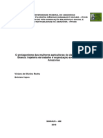 Dissertação_VivianeRocha_PPGSS