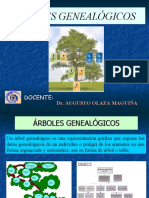 CLASE Nº5 Árboles Genealógicos