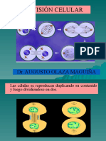 CLASE Nº4 Mitosis y Gametogénesis