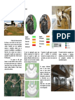 Estudo de Mancha Terminal Rio Branco 1