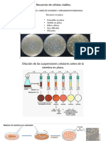 Recuento de Células Viables