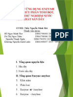 PPT SẮN DÂY