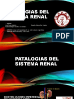 Patalogias Del Sistema Renal.