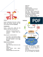 Catatan Koas 2 - Sinusitis-Acute Sinusitis