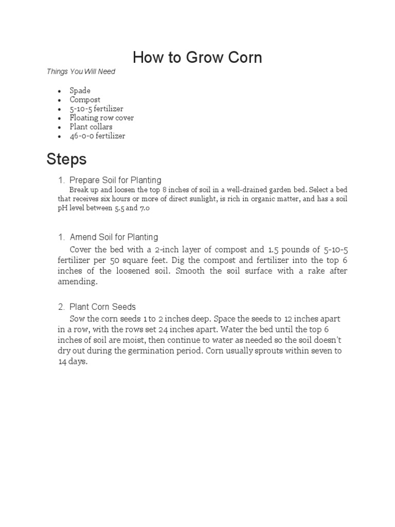 A Step-by-Step Guide to Growing Corn: Preparing Soil, Planting Seeds ...