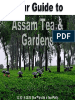 About Assam and Its Tea