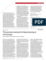 The Promise and Peril of Deep Learning in