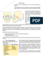 Sinusitis Aguda