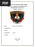 Psitola Pietro Beretta